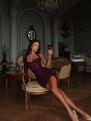 Vanna Mini Dress Burgundy